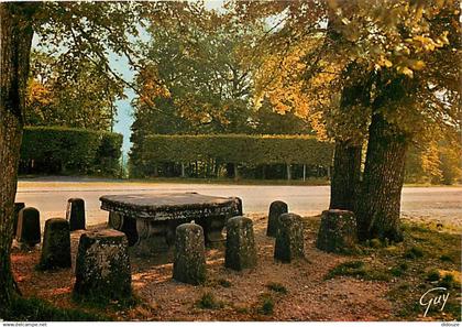 77 - Fontainebleau - Forêt de Fontainebleau - Sur la route de Melun  la Table du Roi - Flamme Postale de Fontainebleau -