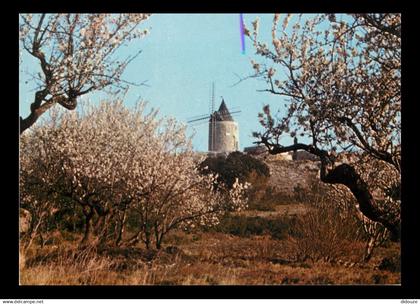 13 - Fontvieille - Le Moulin de Daudet - CPM - Voir Scans Recto-Verso