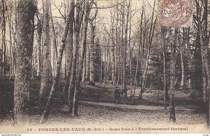 CPA Forges-les-Eaux Sous-bois à l'Etablissement thermal