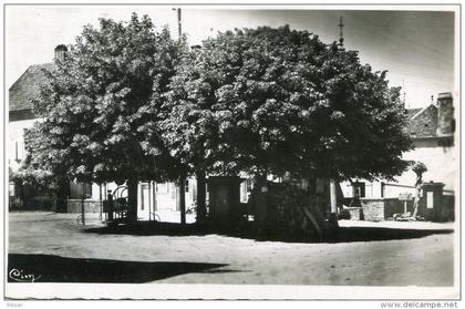 GENDREY(JURA) ARBRE