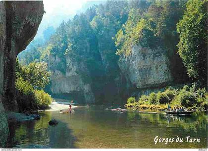 48 - Les Gorges du Tarn - Brume matinale dans les Gorges du Tarn  - CPM - Voir Scans Recto-Verso