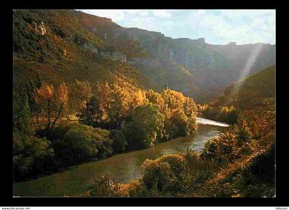 48 - Les Gorges du Tarn - Contre-jour dans les Gorges - CPM - Voir Scans Recto-Verso