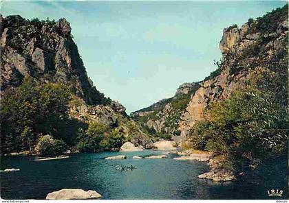 48 - Les Gorges du Tarn - Le Pas du Soucy - CPM - Voir Scans Recto-Verso