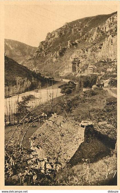 48 - Les Gorges du Tarn - Les Gorges après la Malène - CPA - Carte Neuve - Voir Scans Recto-Verso