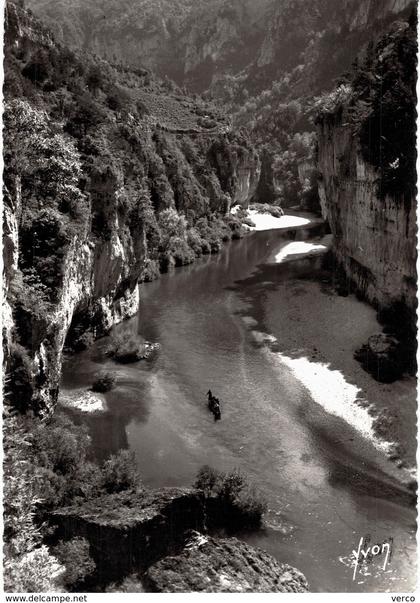 Carte Postale ancienne de GORGES du TARN - La MALENE