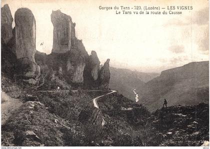 Carte Postale ancienne de GORGES du TARN - Les VIGNES