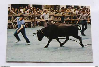 Cpm, course de vache à Hasparren, Pyrénées atlantiques 64