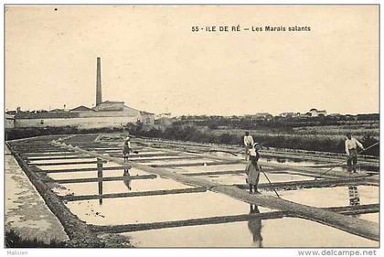 charente-maritime- ref F601  - île de ré -  les marais salants -sauniers -  métiers - carte bon état -