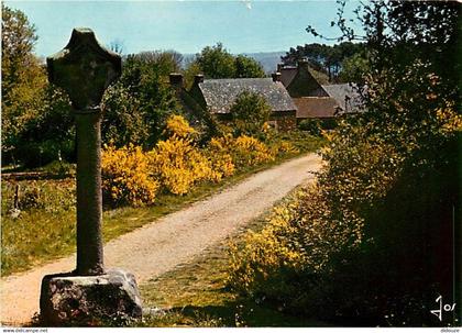 56 - Josselin - CPM - Voir Scans Recto-Verso