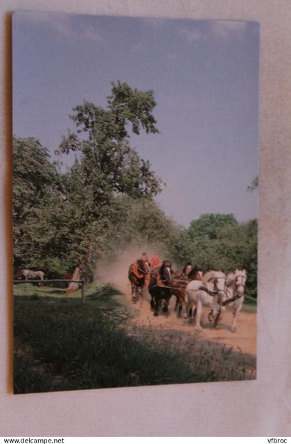 Cpm, Juvigny sous Andaine, la Michaudière, ferme du cheval de trait, Orne 61