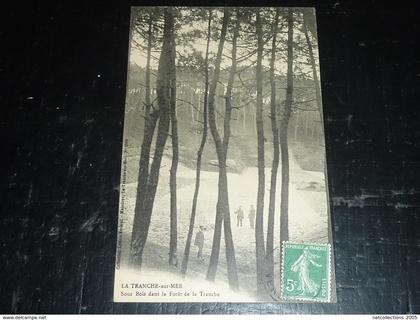 LA TRANCHE SUR MER: sous bois dans la forêt de la tranche - 85 VENDEE (Z)