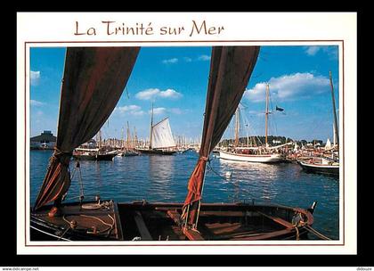 56 - La Trinité sur Mer - CPM - Voir Scans Recto-Verso