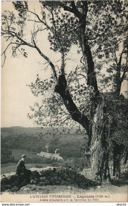 CPA LAGUIOLE - Arbre seculaire sur la Terrasse du Fort (133329)