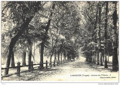 Carte Postale Ancienne de LAMARCHE