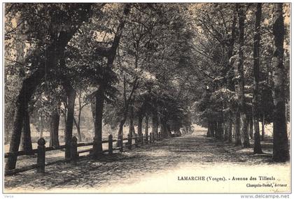 Carte Postale Ancienne de LAMARCHE