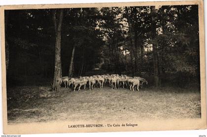 CPA LAMOTTE-BEUVRON - Un Coin de SOLOGNE (208686)