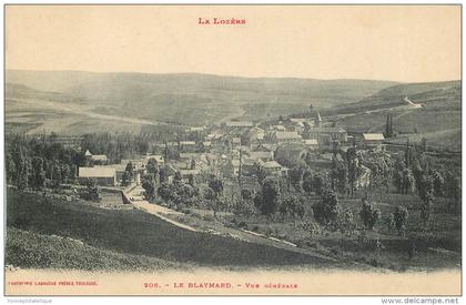 48 - LOZERE - Le Bleymard - vue générale