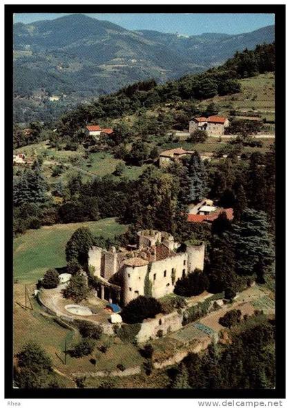 07 Le Cheylard vue aerienne chateau D07D C07064C RH100457