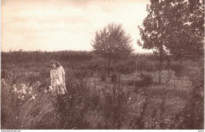 Carte postale ancienne de  Le MESNIL Saint DENIS - La pépinière de la jeunesse sportive