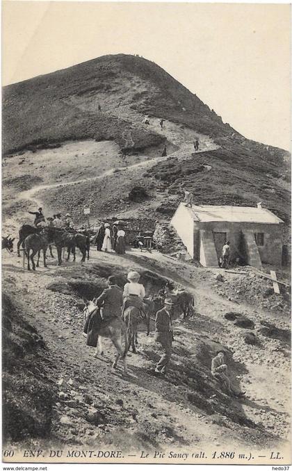 Environs du Mont-Dore - Le Pic Sancy