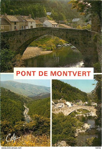 48 - LE PONT DE MONTVERT