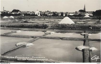 Le Pouliguen - Panorama et les Marais Salants (Carte photo)