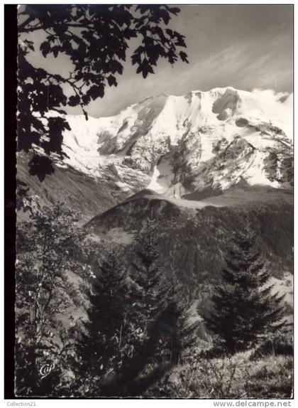 LES CONTAMINES MONTJOIE .... LES DOMES DE MIAGE