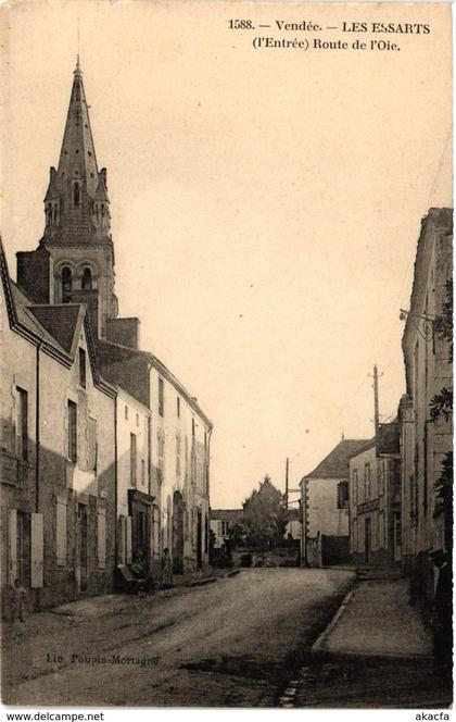 CPA Vendée - Les ESSARTS - (l'Entrée) - Route de l'Oie (297873)