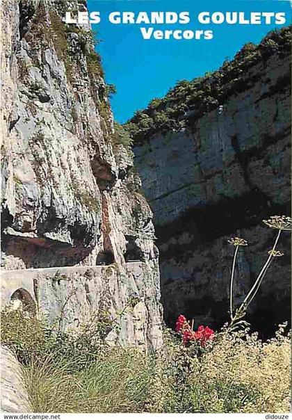 26 - Drome - Vercors - Les Grands Goulets - Carte Neuve - CPM - Voir Scans Recto-Verso