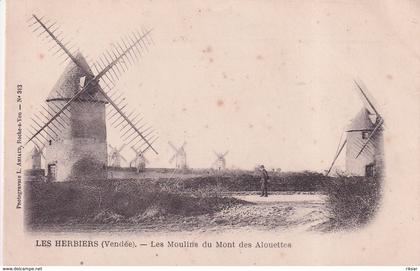 LES HERBIERS(MOULIN)