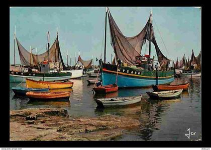 29 - Lesconil - Bateaux de peche dans le Port - Voir Scans Recto Verso