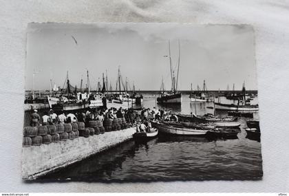 Cpm 1965, Lesconil, la cale, Finistère 29