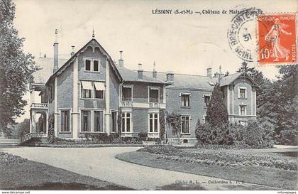 77 SEINE et MARNE Façades du Chateau de Maison-Blanche à LESIGNY