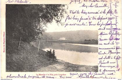 Carte POSTALE  Ancienne  de  LIVERDUN - La Moselle à la Flie