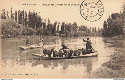 69 - RHÔNE - LOIRE-SUR-RHÔNE - passage des chèvres sur la Lône du Rhône - superbe - 10335