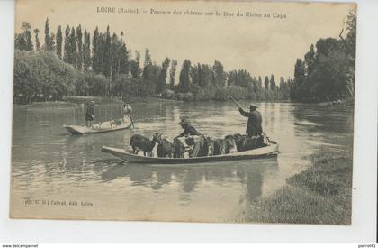 LOIRE SUR RHONE - Passage des Chèvres sur la lône du Rhône au Capa