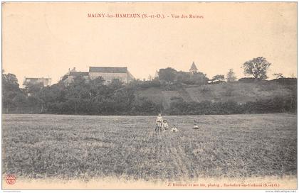 78 - LES YVELINES - Magny les Hameaux - vue des Ruines