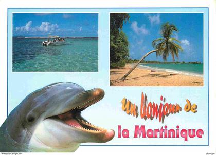 Martinique - Multivues - Dauphin - CPM - Voir Scans Recto-Verso