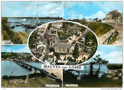 réf : TO-13-694 : Mauves sur Loire