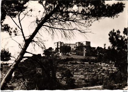 CPM Meyrargues Le Chateau FRANCE (1376587)