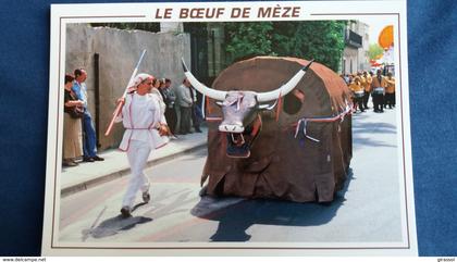 CPM MEZE 34 LE BOEUF DE MEZE ANIMAL TOTEMIQUE FOLKLORE GROS PLAN ANIMATION