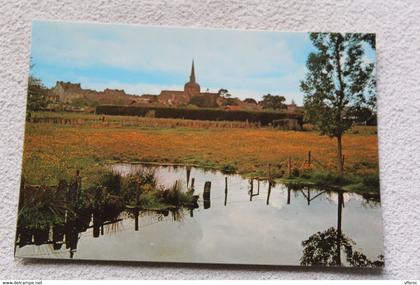 Cpm, Moisdon la Rivière, l'étang de la forge, au fond l'église, Loire atlantique 44