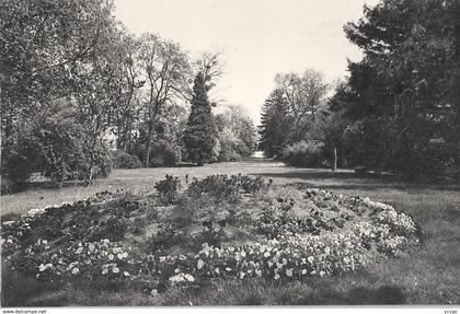 CPSM Montesson Ecole Théophile Roussel Jardin Anglais