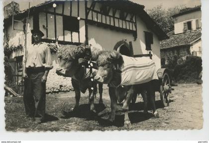 MONTFORT EN CHALOSSE - Attelage de Boeufs