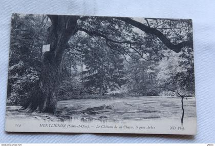 Montlignon, le château de la chasse, le gros arbre, Val d'Oise 95