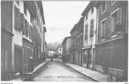 Carte Postale Ancienne de MONTLUEL-grande rue