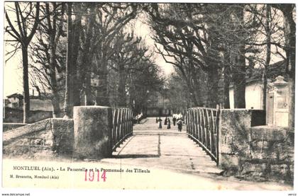 Carte Postale Ancienne de MONTLUEL-la passerelle et la promenade des tilleuls