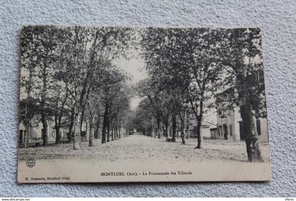 Montluel, promenade des Tilleuls, Ain 01