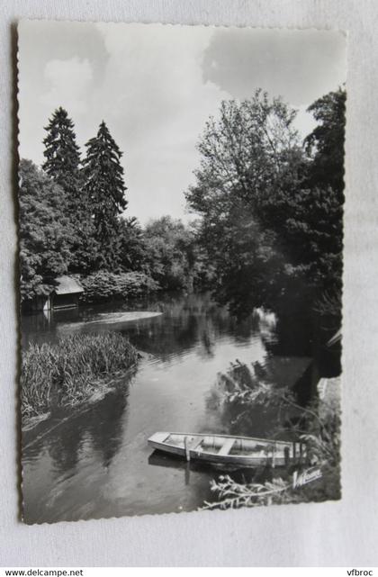 Cpm 1961, Montoire sur le Loir, les bords du Loir, Loir et Cher 41