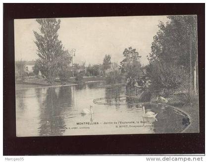 montpellier jardin de l'esplanade le bassin édit.MTIL publicité au dos nivet entr. de parcs & jardins à limoges